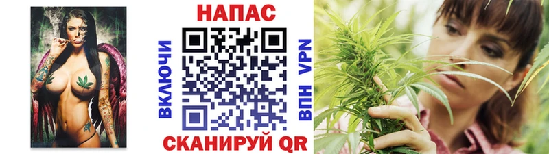 Каннабис конопля  Себеж 